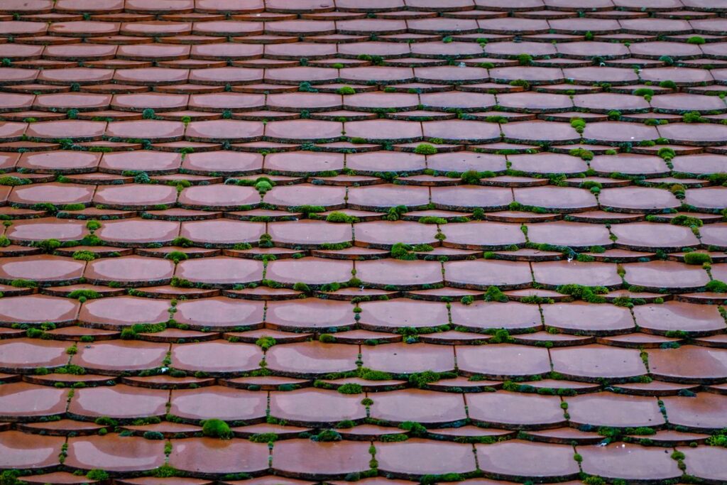 Bemost pannendak in Apeldoorn dat toe is aan een dakreiniging